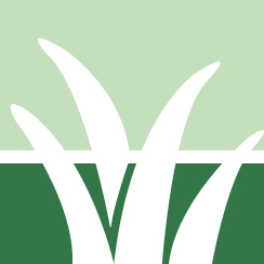 Buzz Grass Repair Service