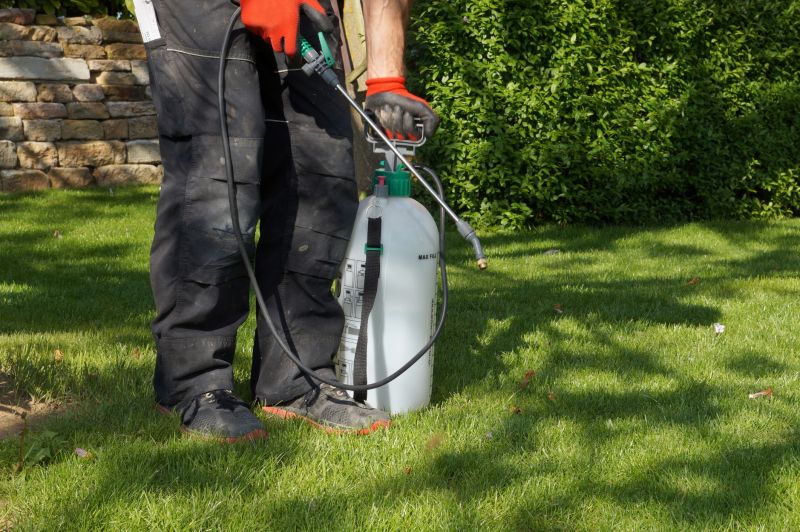 Crabgrass Removal in Rockwall, TX