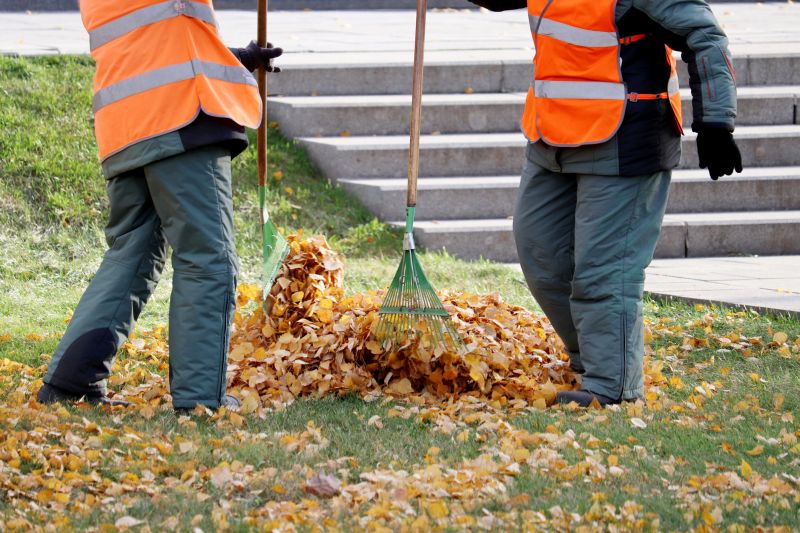 Leaf Removal Service in Progress