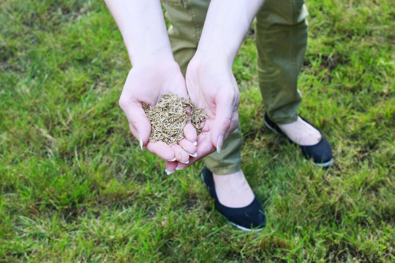 Healthy, Prepared Lawn