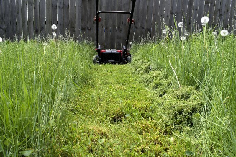 Lawn Repair Equipment