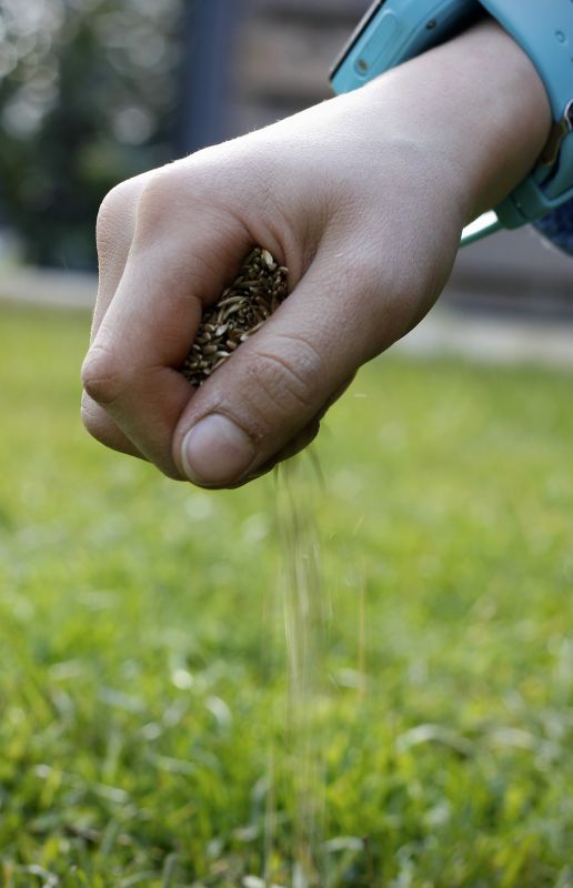 Grass Seed Installation in Ventura County, CA