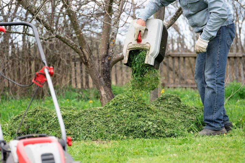 Lawn Care Service