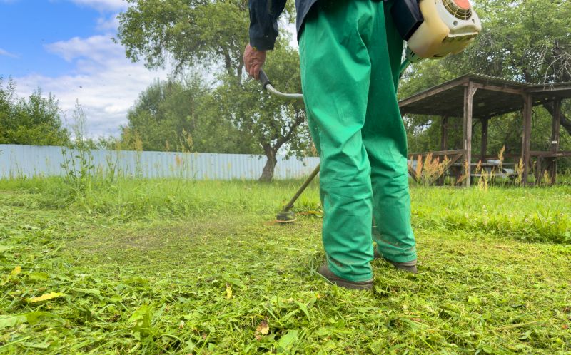 Lawn Cutting Service