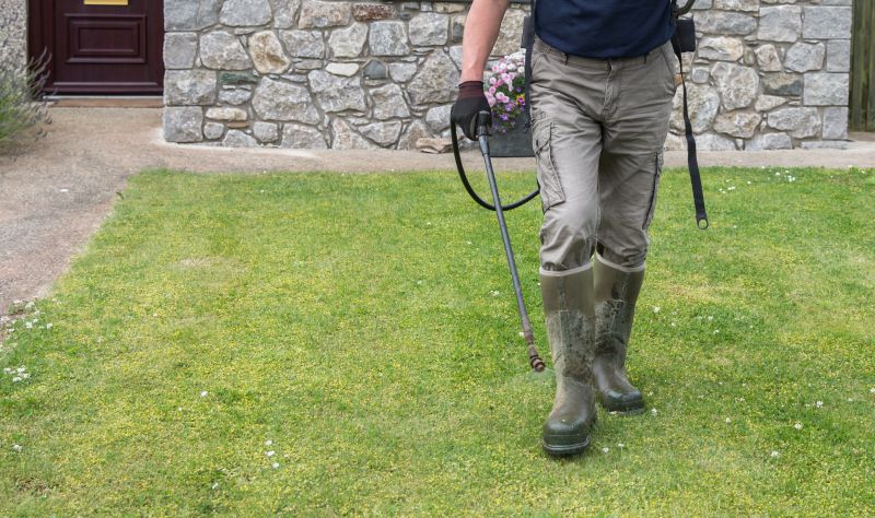 Lawn Weed Control in Rockwall, TX