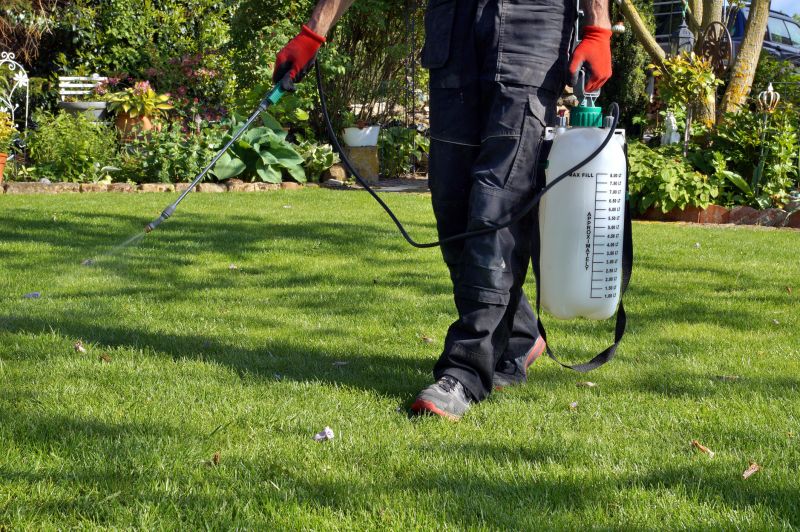 Lawn Weed Control in Aiken, SC