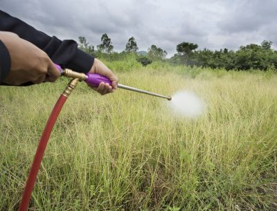 Lawn Weed Spraying in Rockwall, TX