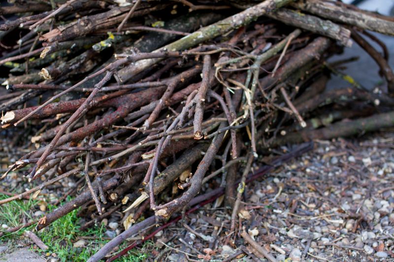 Limbs Removal in Honolulu, HI