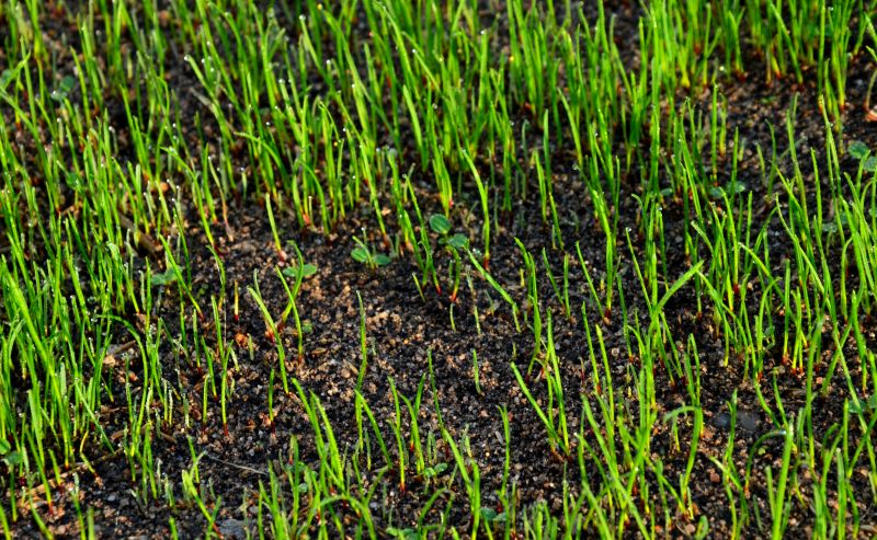 Local Gardening Services